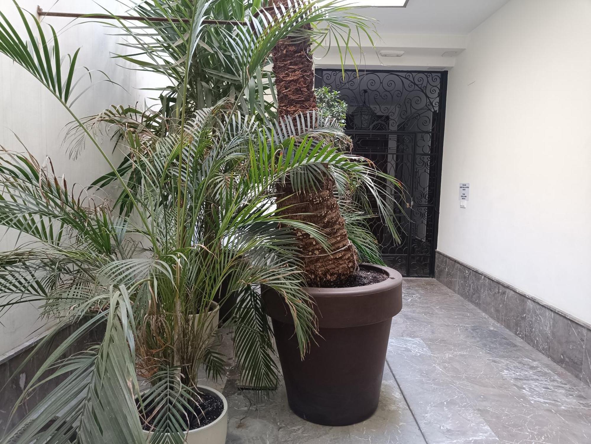 Apartamentos Luxury Puente De Triana 塞维利亚 外观 照片