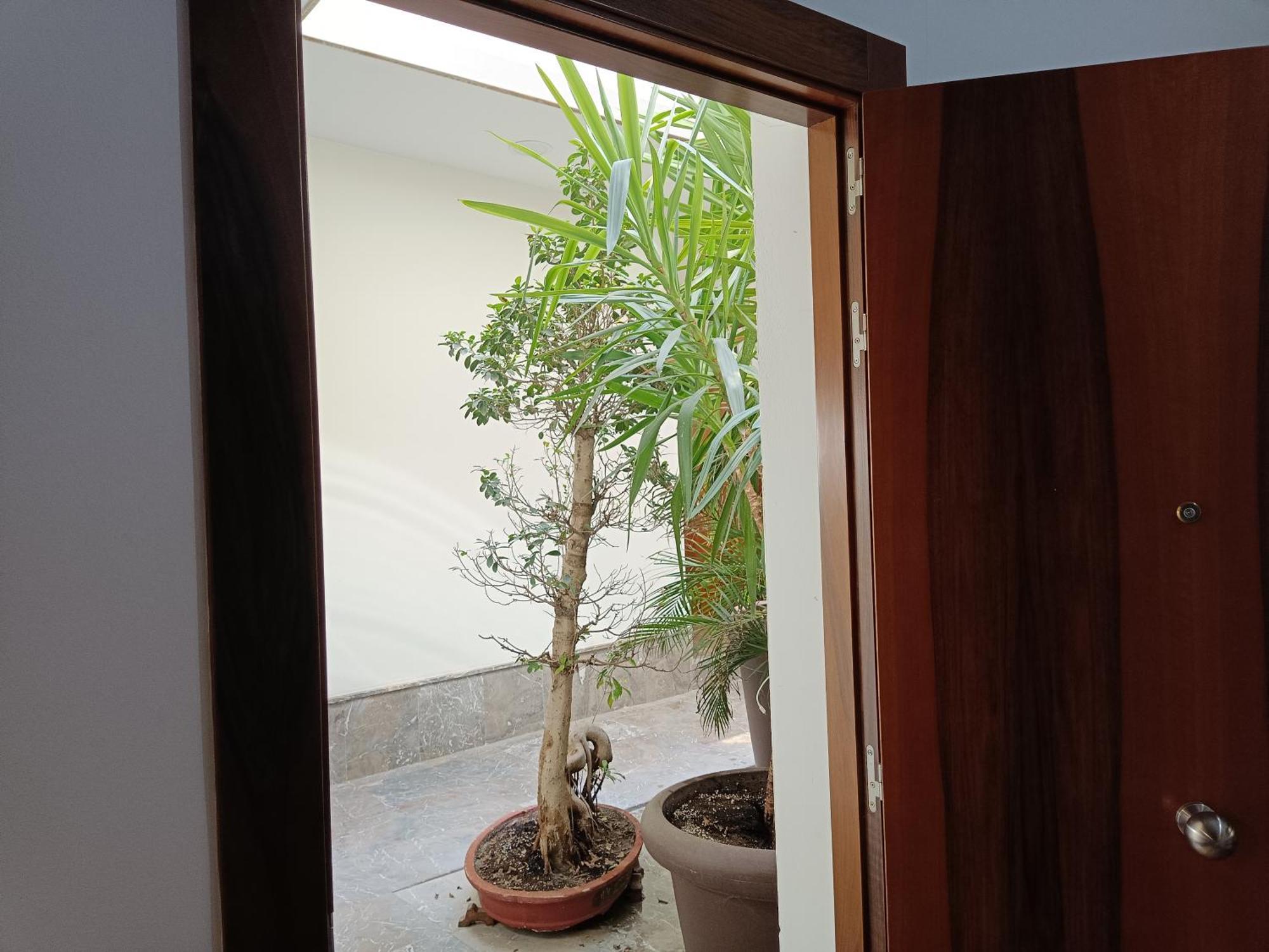 Apartamentos Luxury Puente De Triana 塞维利亚 外观 照片
